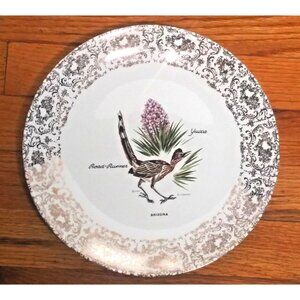 AACO souvenir Collector Plate Arizona 10" Road Runner YUCCA wide gold bird